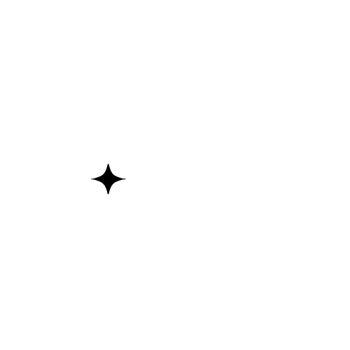 Ecom Lifters