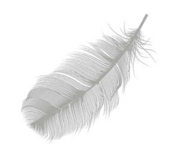 shape-1
